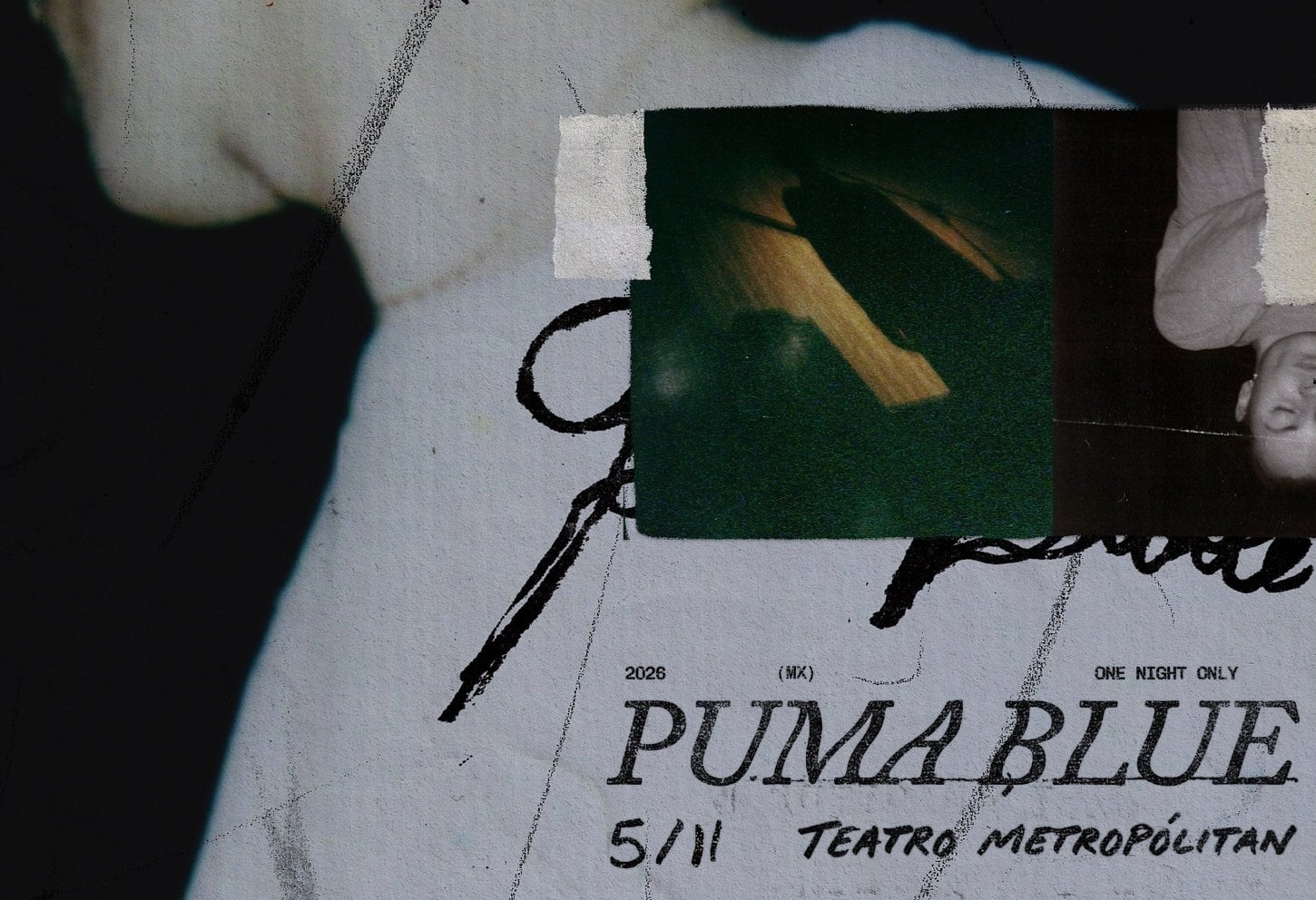 Puma Blue