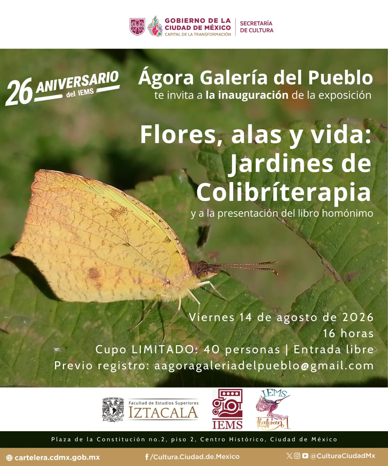 Flores, alas y vida: Jardines de Colibríterapia.