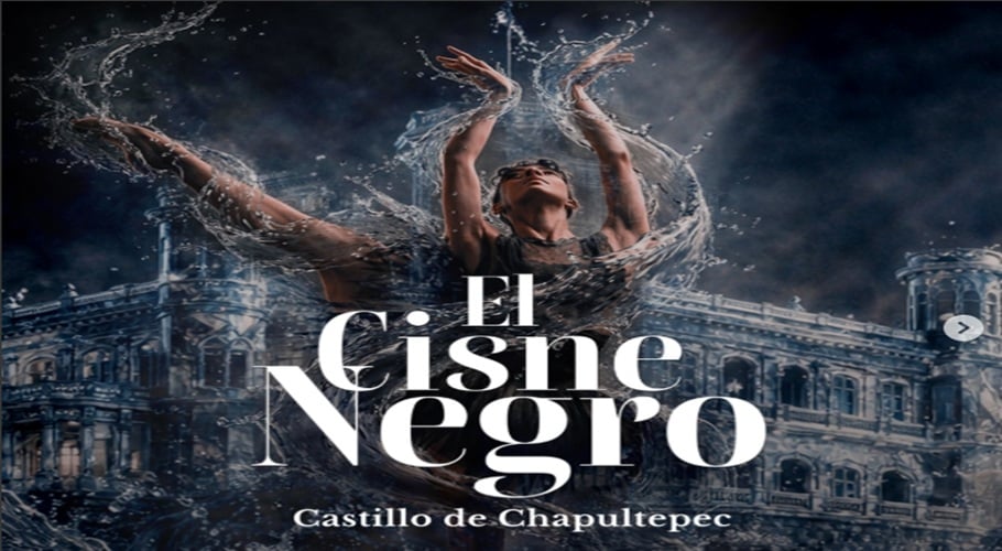 El Cisne Negro