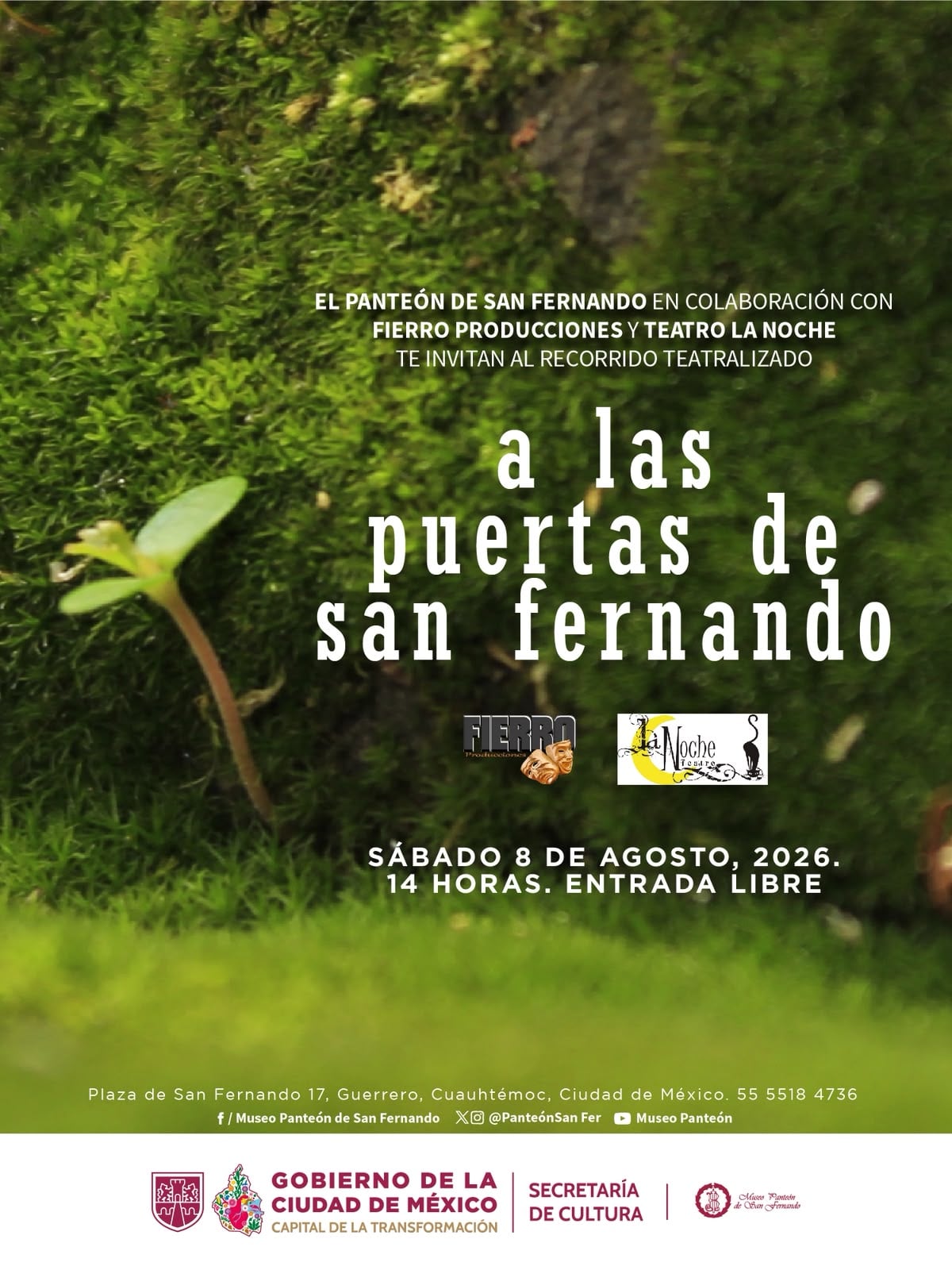 A las puertas de San Fernando